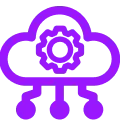 saas on premises