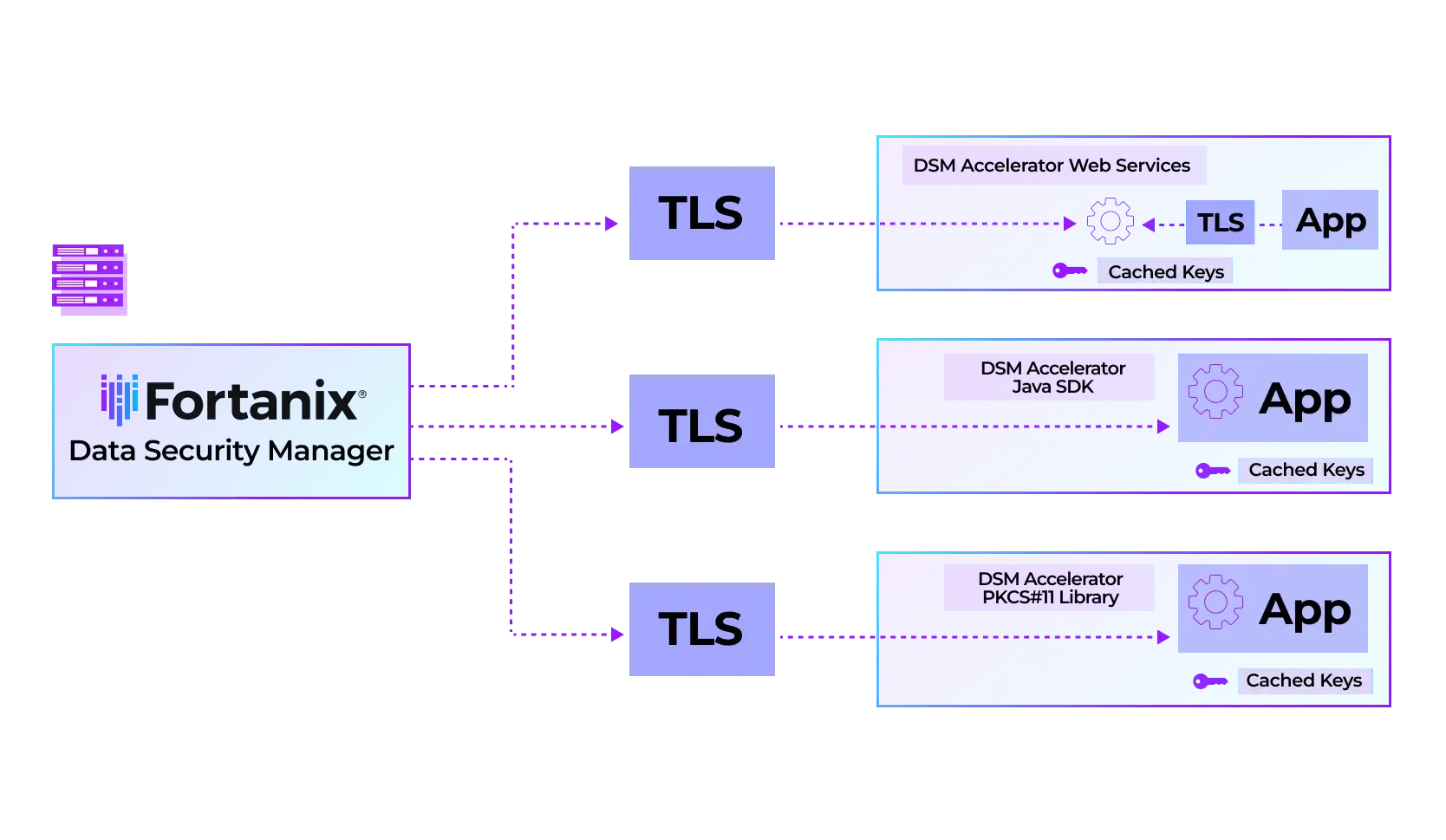 DSM Accelerator Architecture
