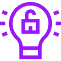 Secure Customized Plugins