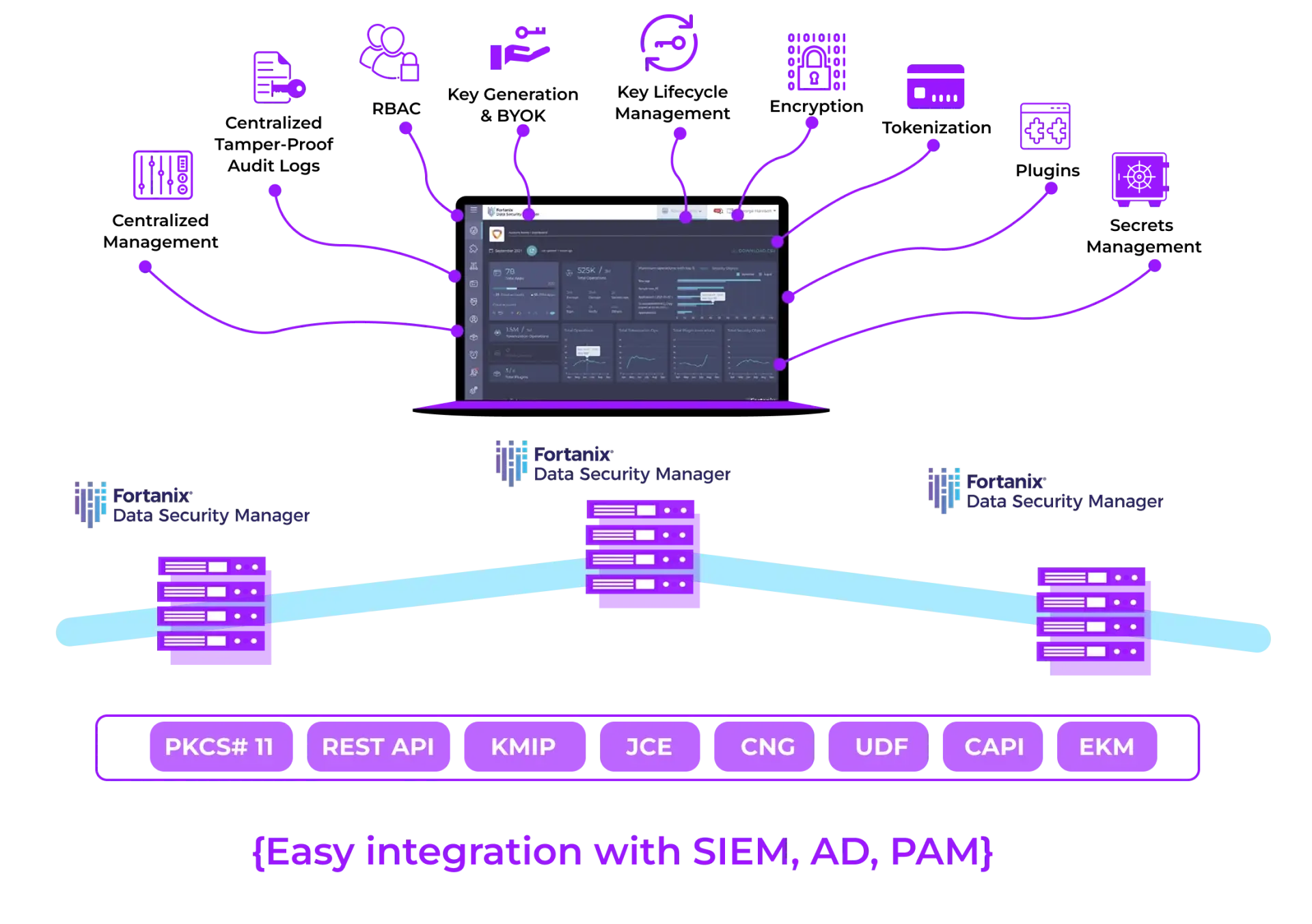 About Fortanix Data Security Manager (DSM)
