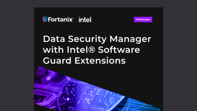 data security manager