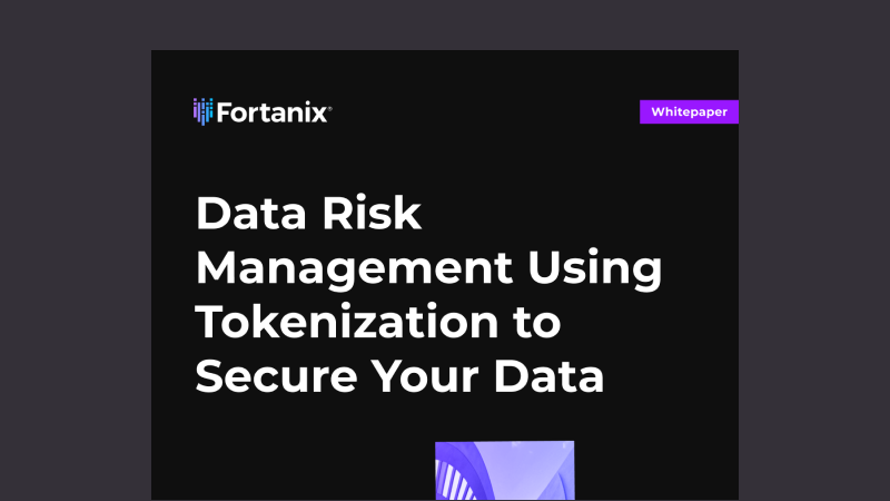 Data Risk Management Using Tokenization to Secure Data | Whitepaper