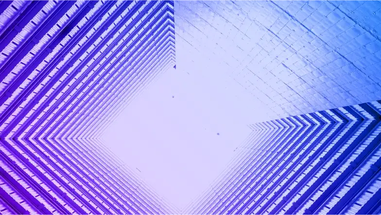 CXOs