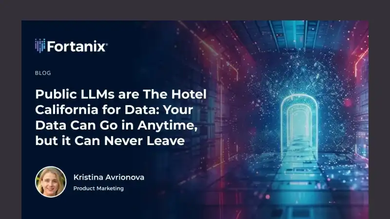 Public LLMs are The Hotel California for Data: Your Data Can Go in Anytime, but it Can Never Leave