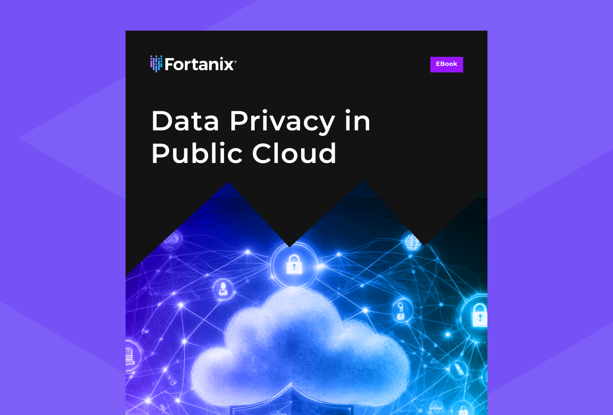 EBook: Data Privacy in Public Cloud