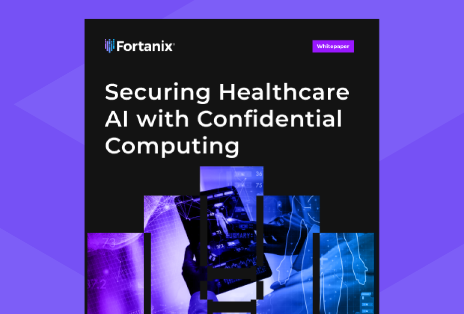 securing-healthcare-ai.