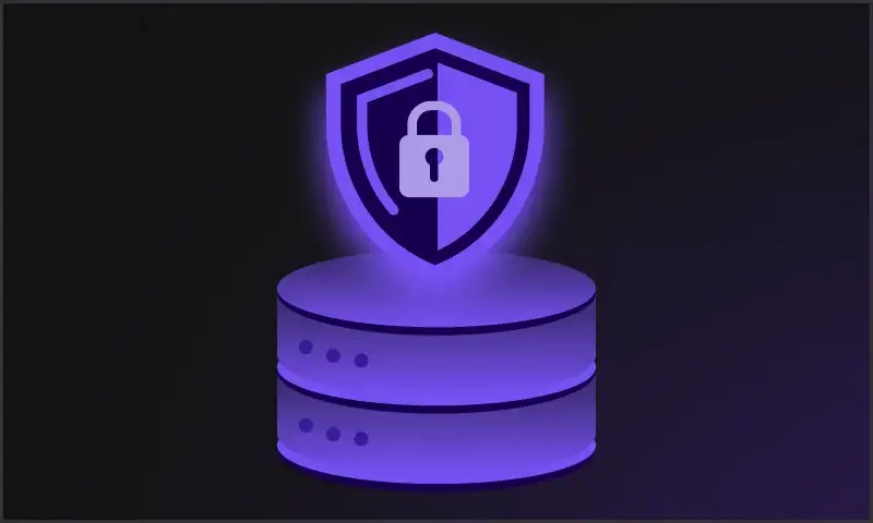 Data and runtime encryption 