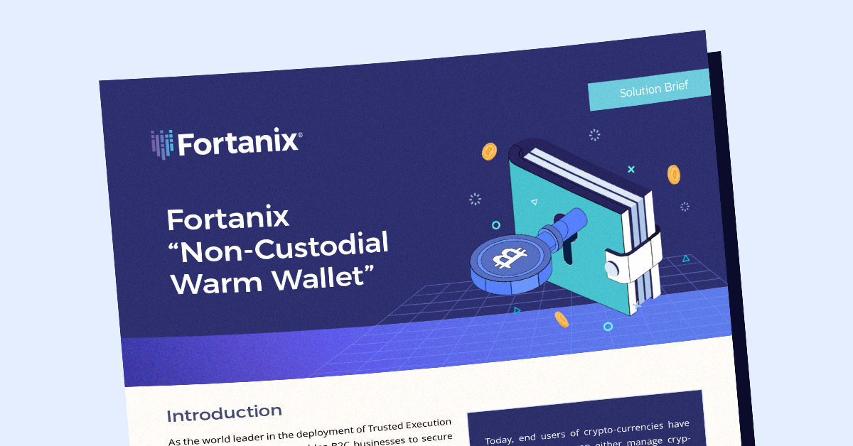 Fortanix Non-Custodial Warm Wallet