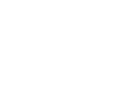Beacon Environmental