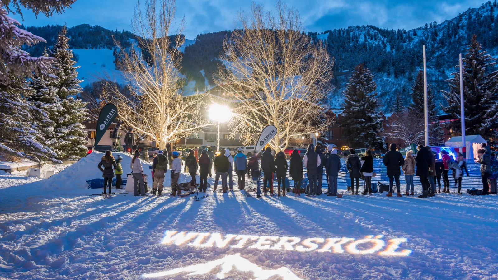 winterskol aspen