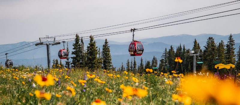 aspen gondola with blooming flowers