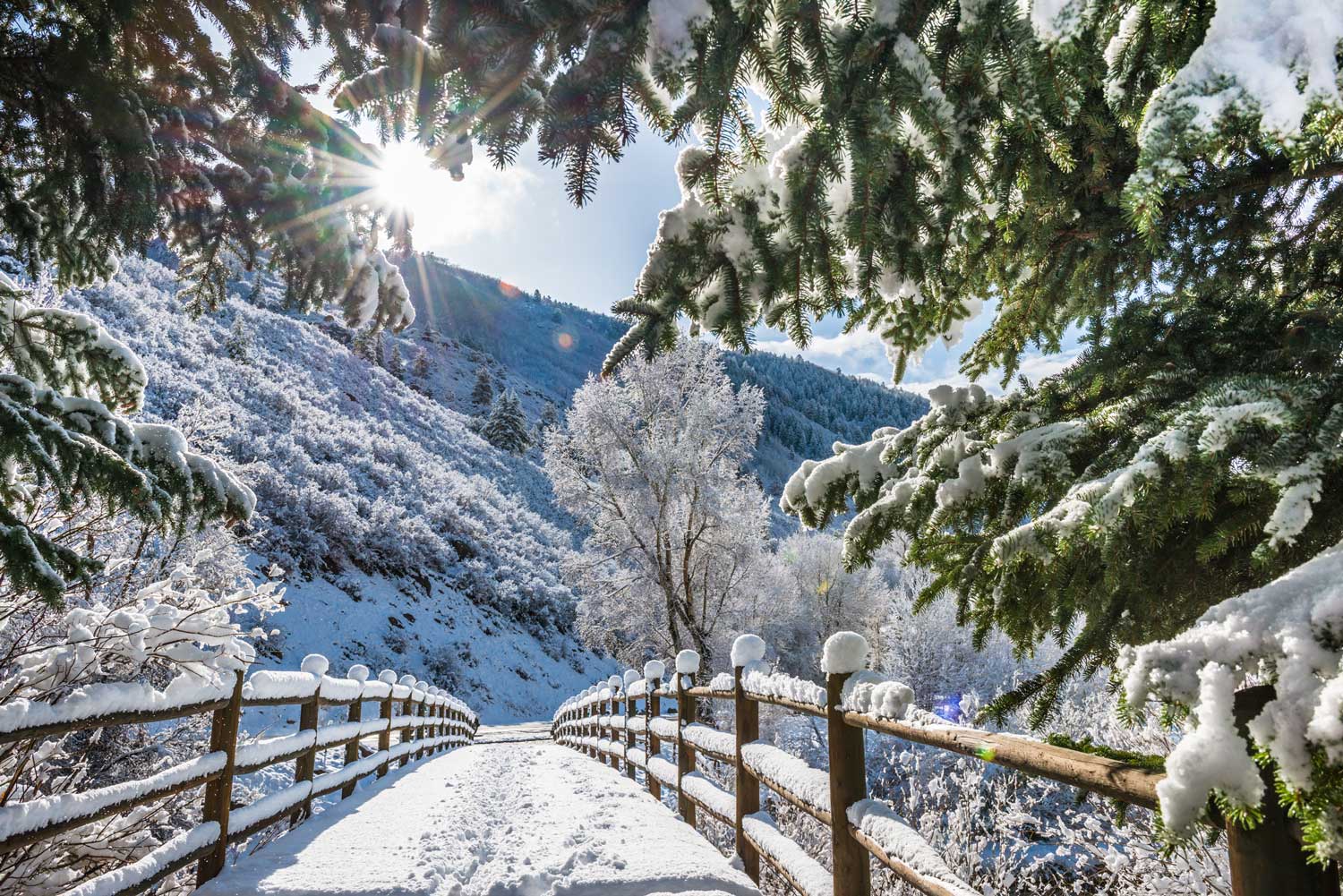 bridge covered in snow