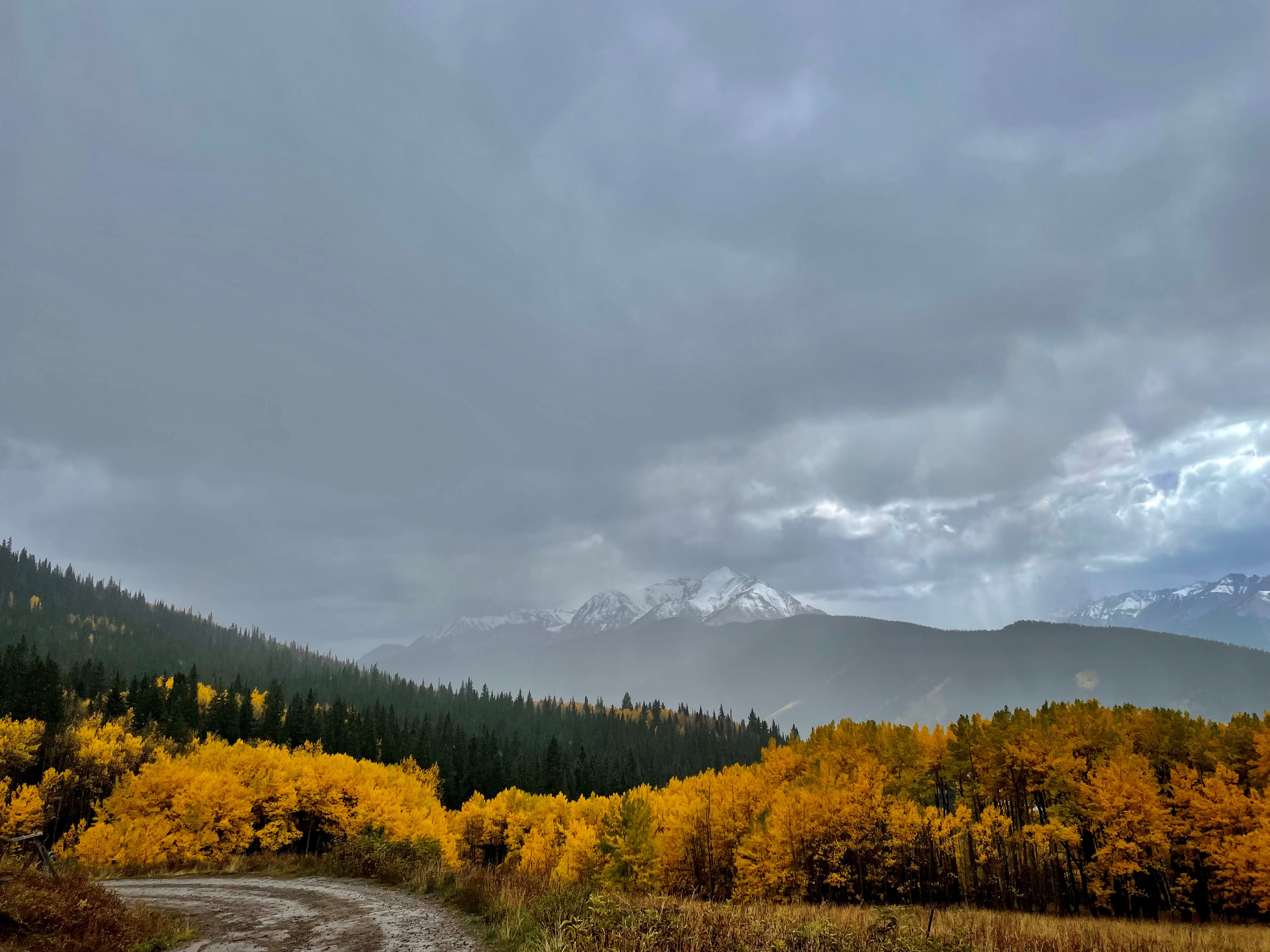 fall colors with mountains