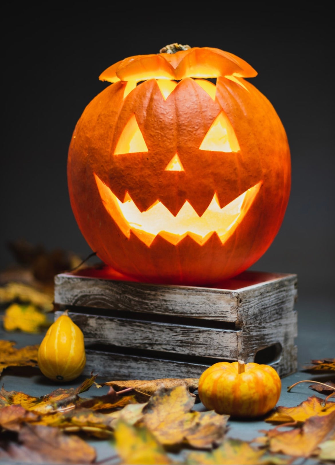 halloween pumpkin jackolantern