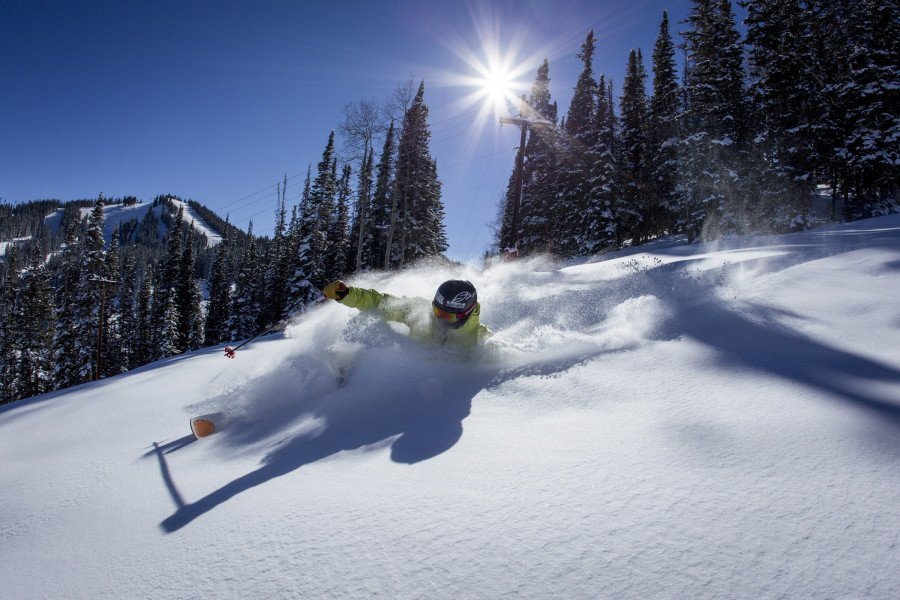 skier in deep powder