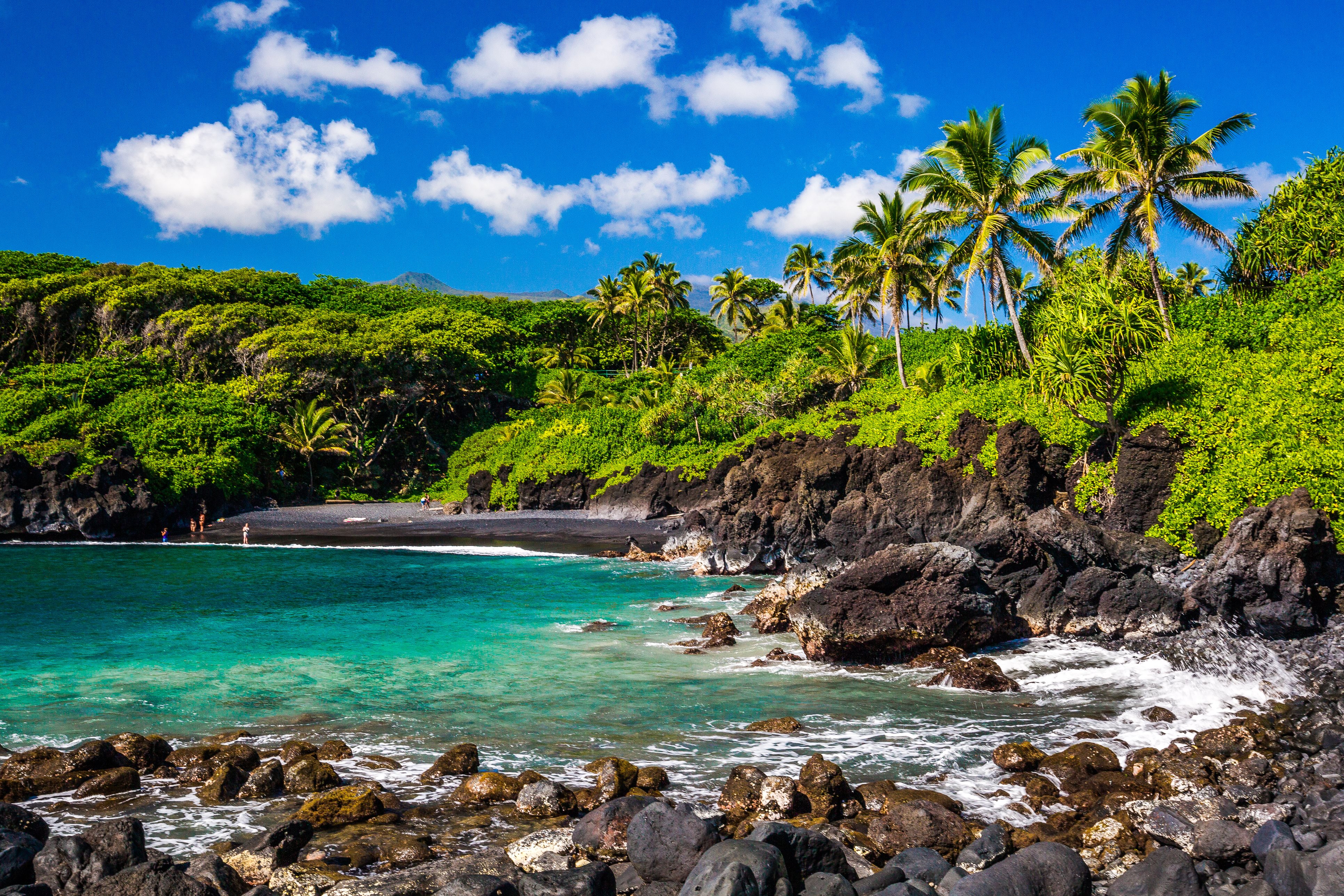 beach with teal water and palm trees