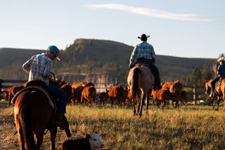 cowboys on horses at ranch