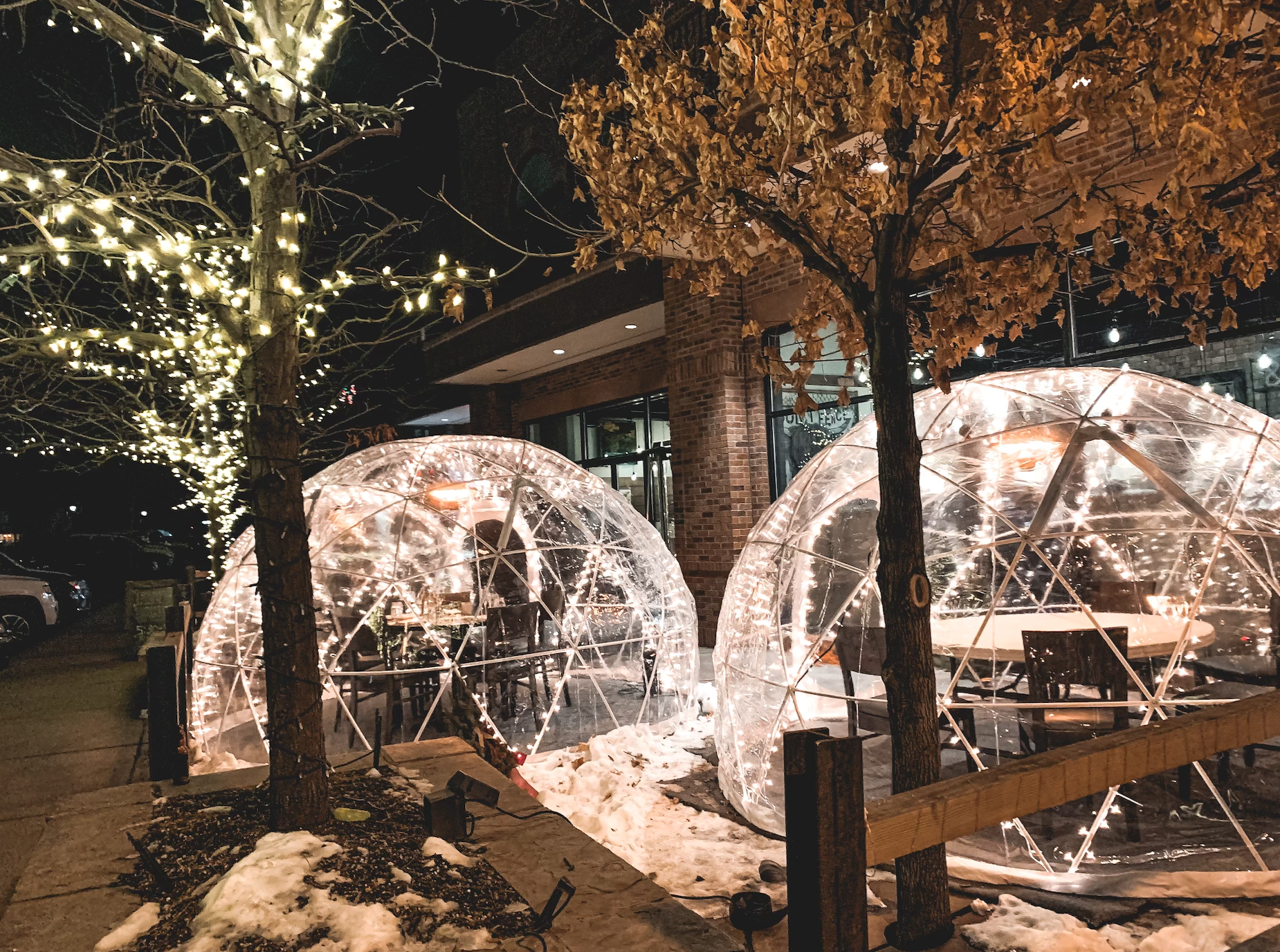 dining inside bubbles with lights