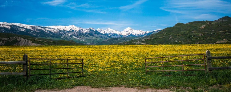 ranch in snowmass with view of mountains