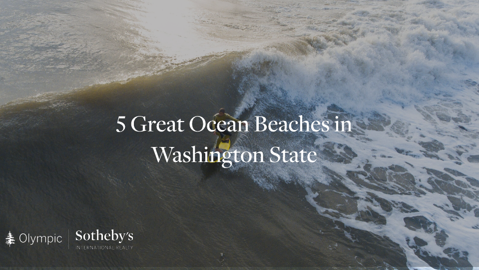 Ocean Beaches in Washington