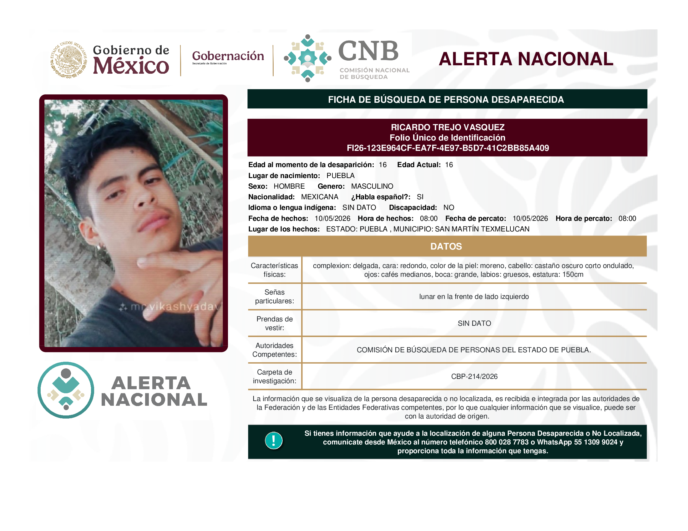 RICARDO TREJO VASQUEZ
