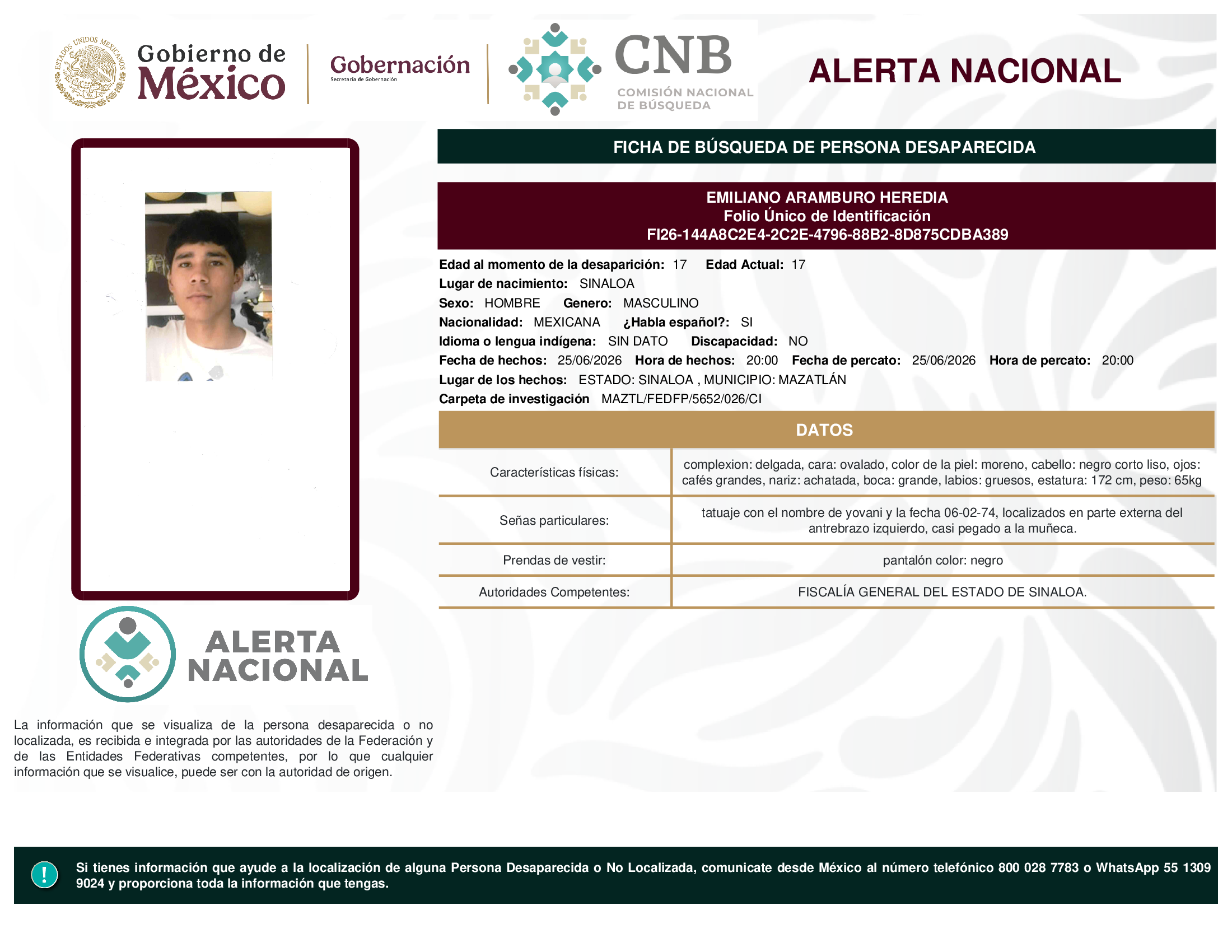 EMILIANO ARAMBURO HEREDIA