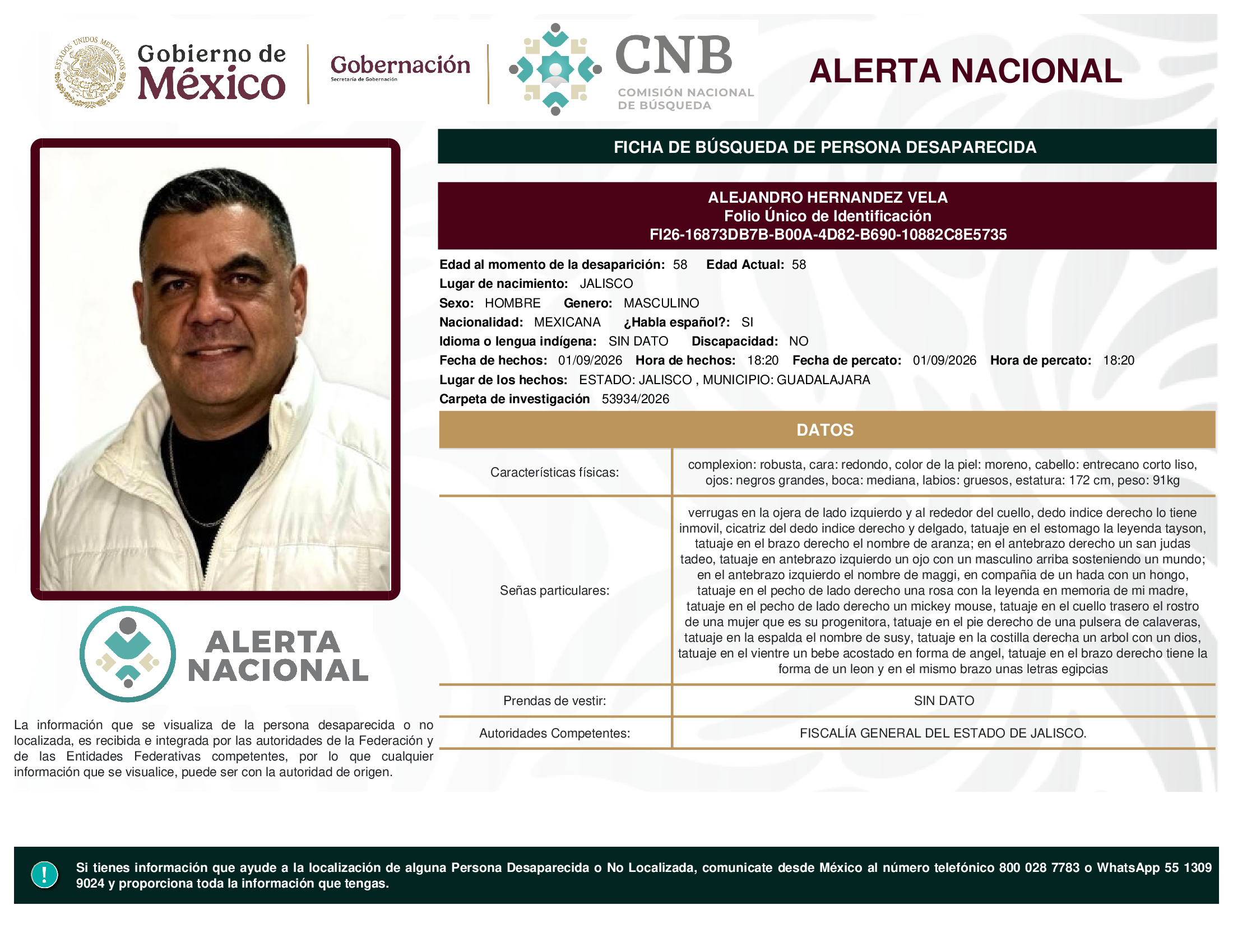 ALEJANDRO HERNANDEZ VELA