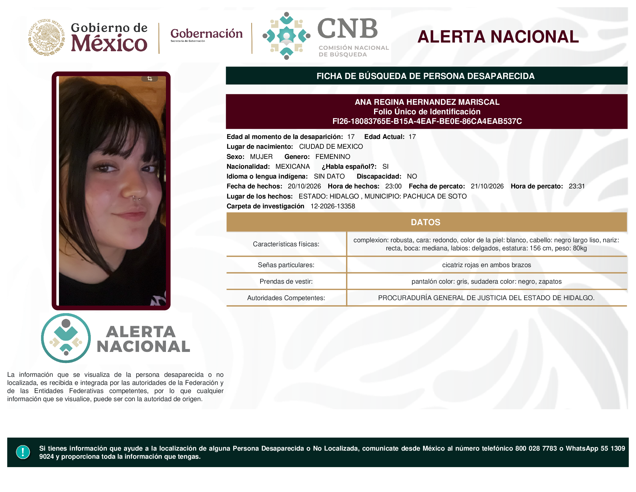 ANA REGINA HERNANDEZ MARISCAL
