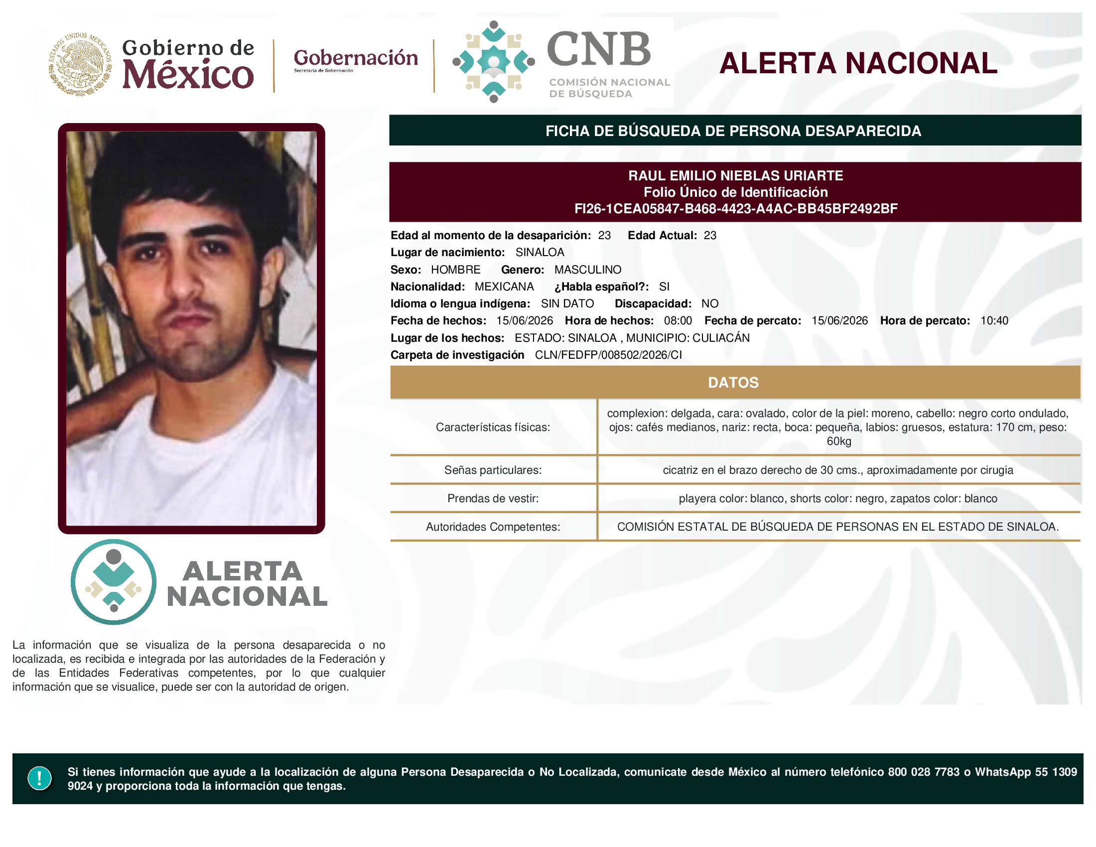 RAUL EMILIO NIEBLAS URIARTE