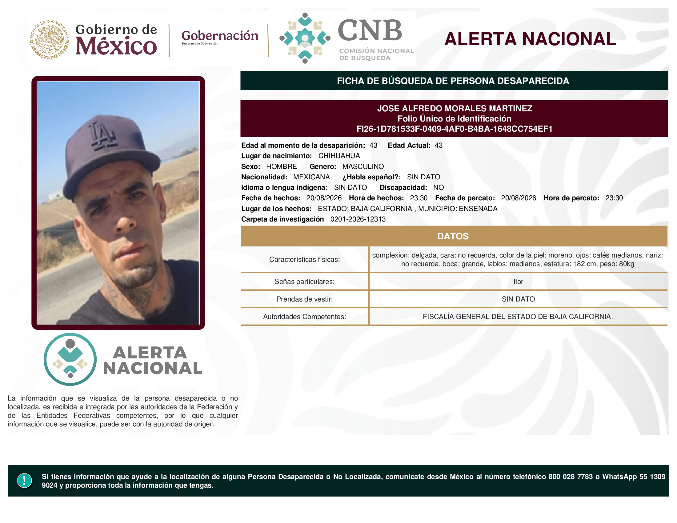 JOSE ALFREDO MORALES MARTINEZ