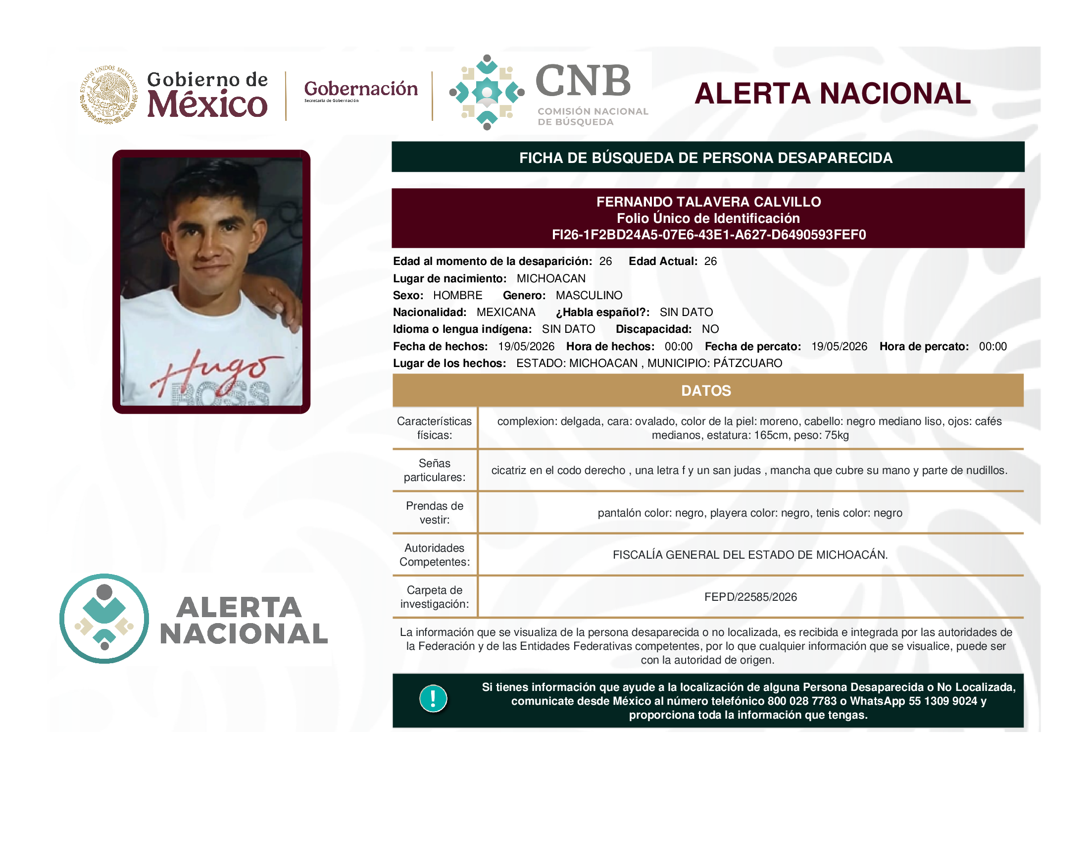 FERNANDO TALAVERA CALVILLO