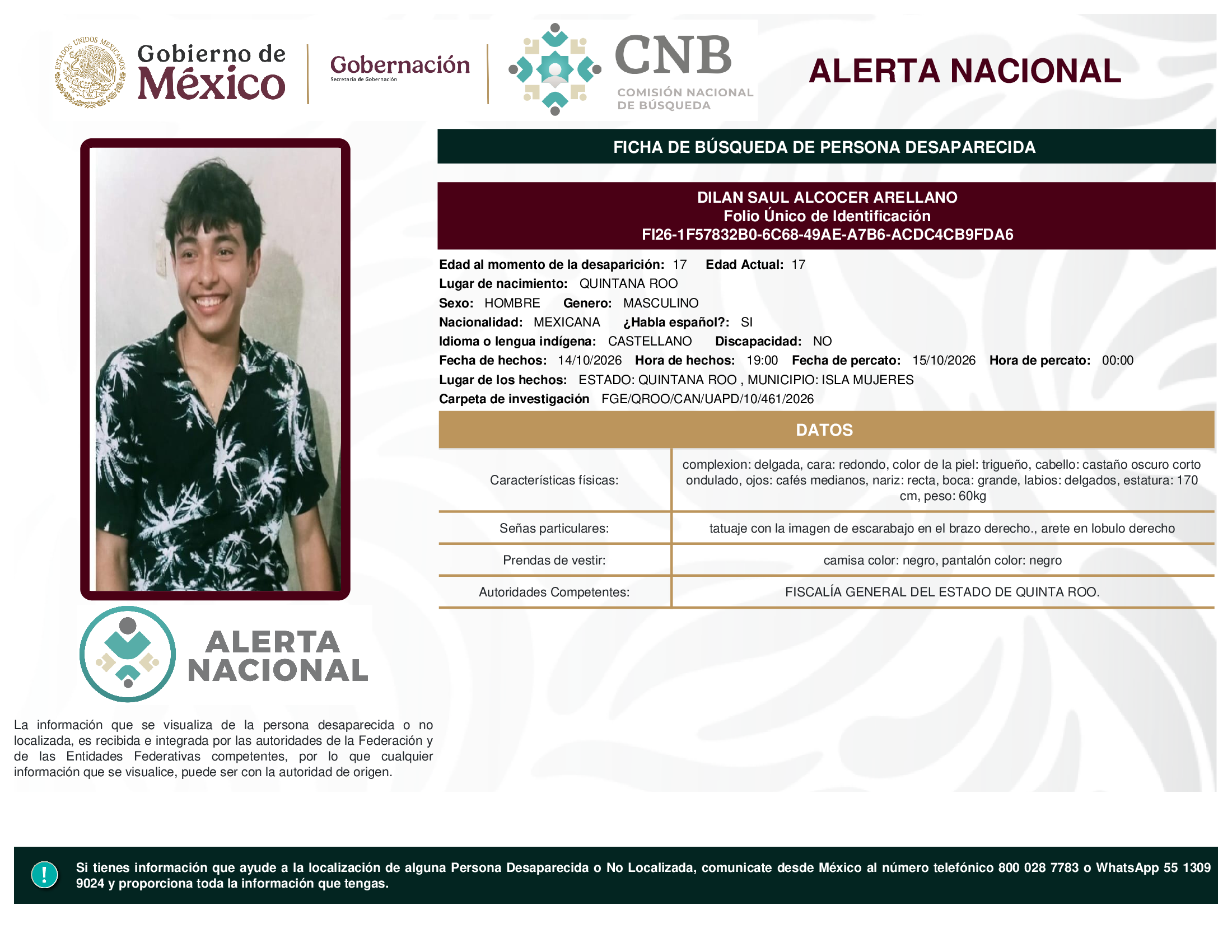 DILAN SAUL ALCOCER ARELLANO