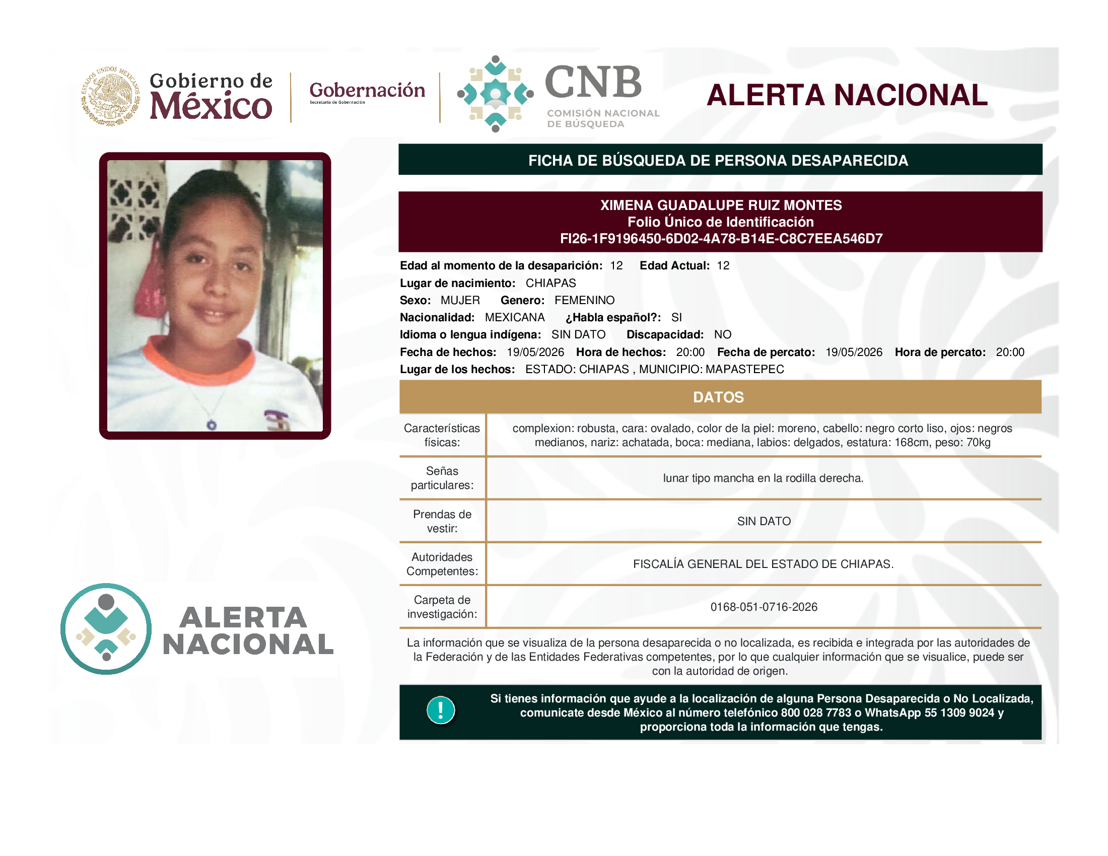 XIMENA GUADALUPE RUIZ MONTES