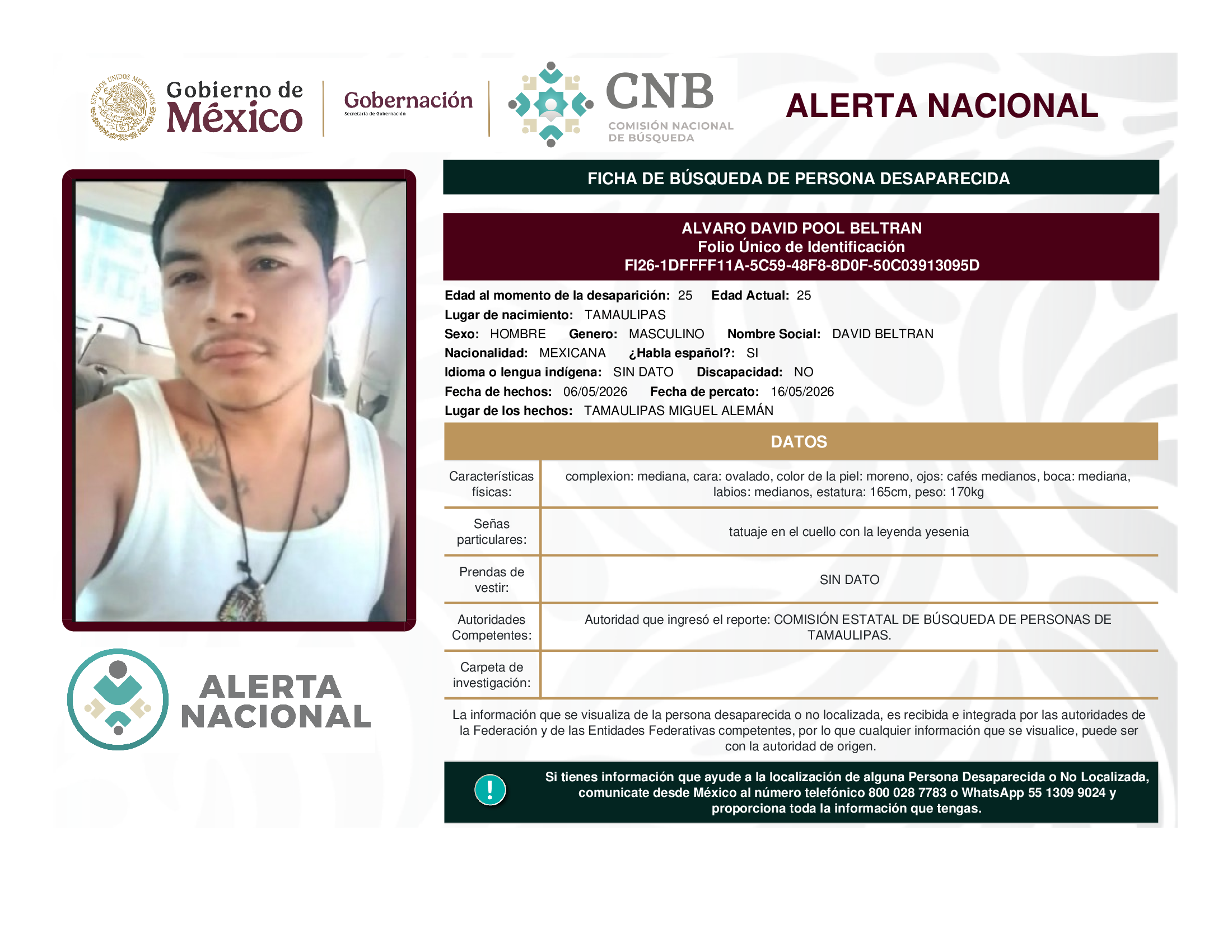 ALVARO DAVID POOL BELTRAN