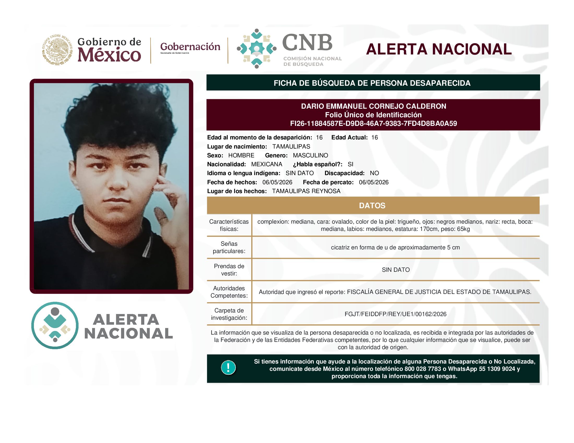 DARIO EMMANUEL CORNEJO CALDERON