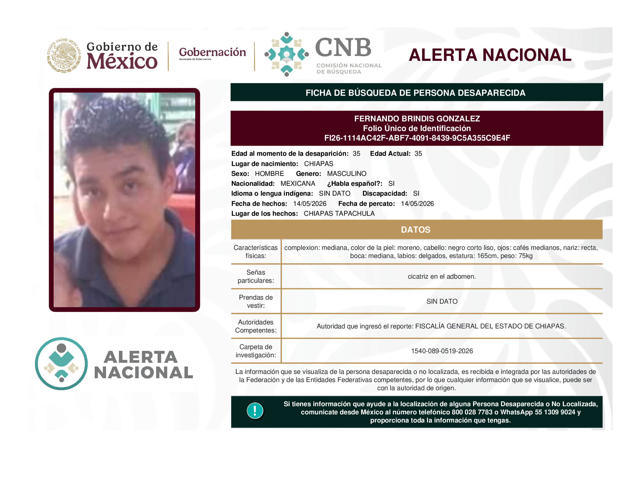 FERNANDO BRINDIS GONZALEZ