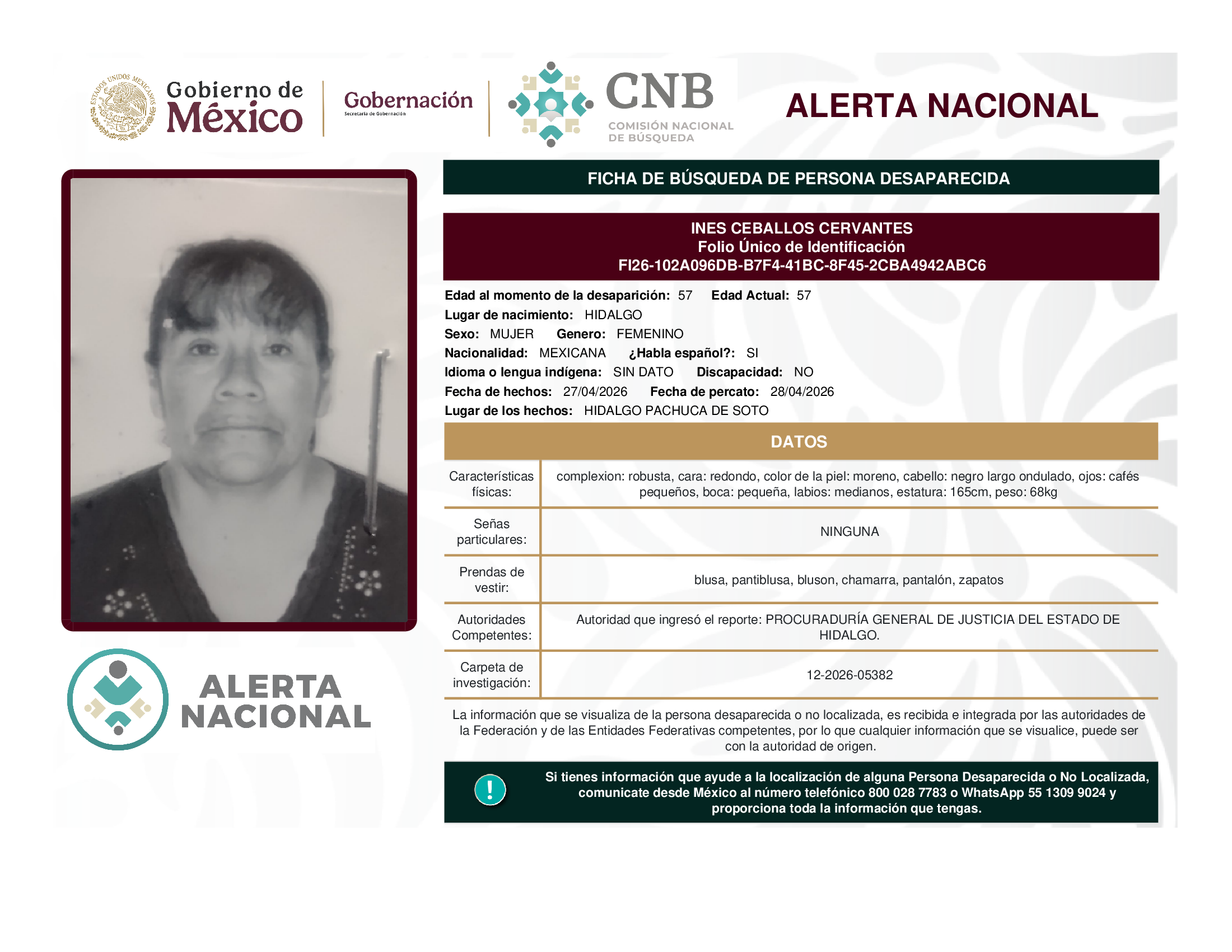 INES CEBALLOS CERVANTES