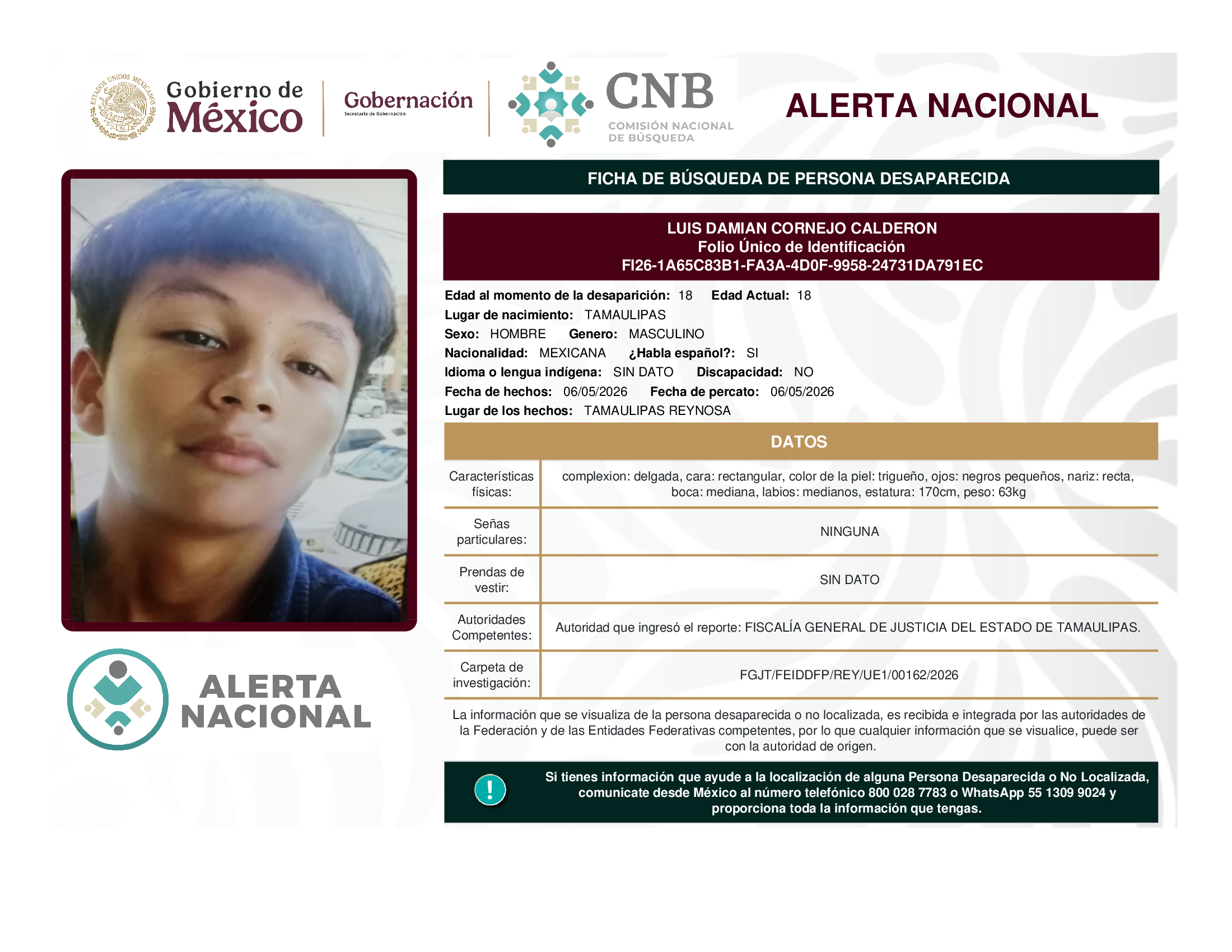 LUIS DAMIAN CORNEJO CALDERON