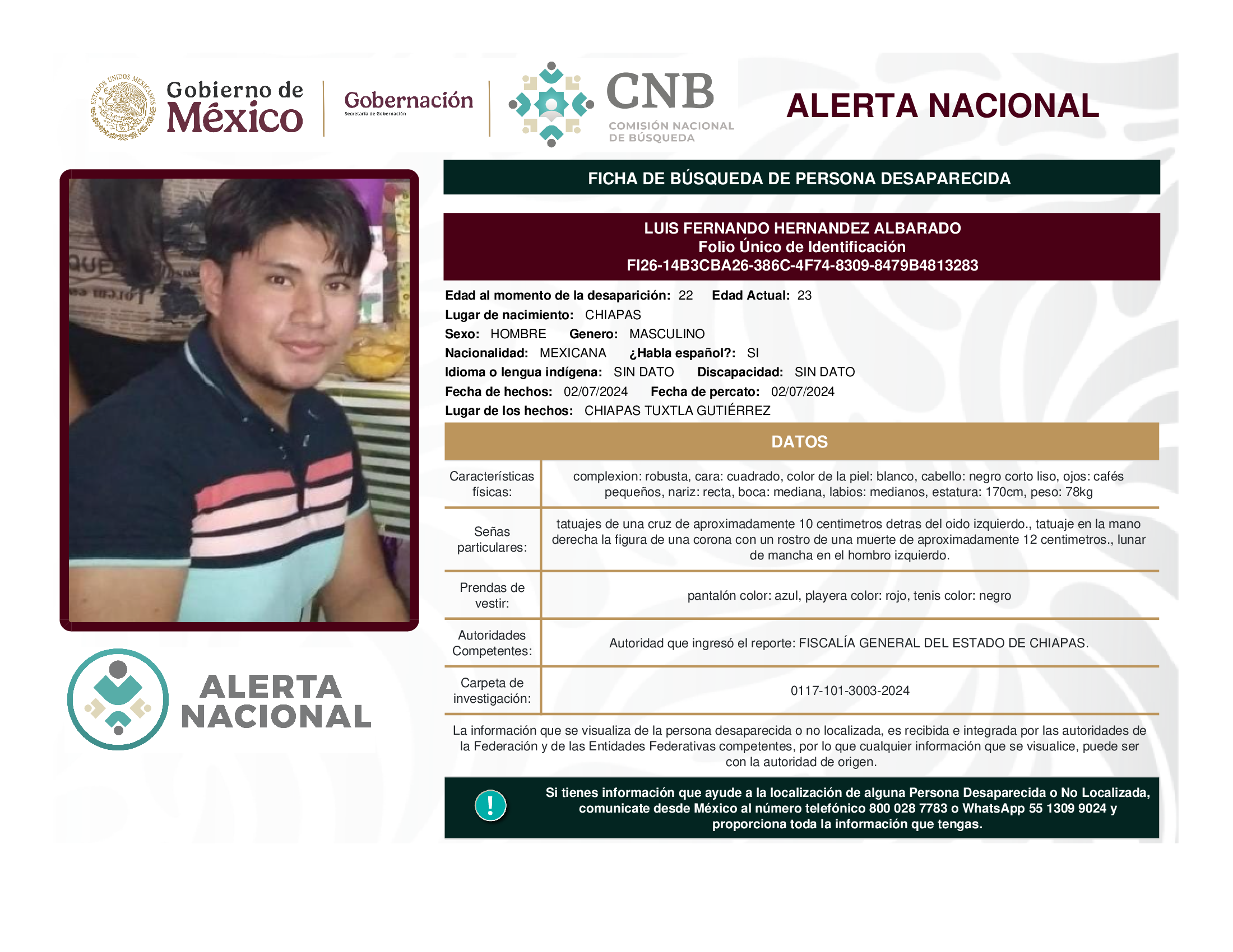 LUIS FERNANDO HERNANDEZ ALBARADO