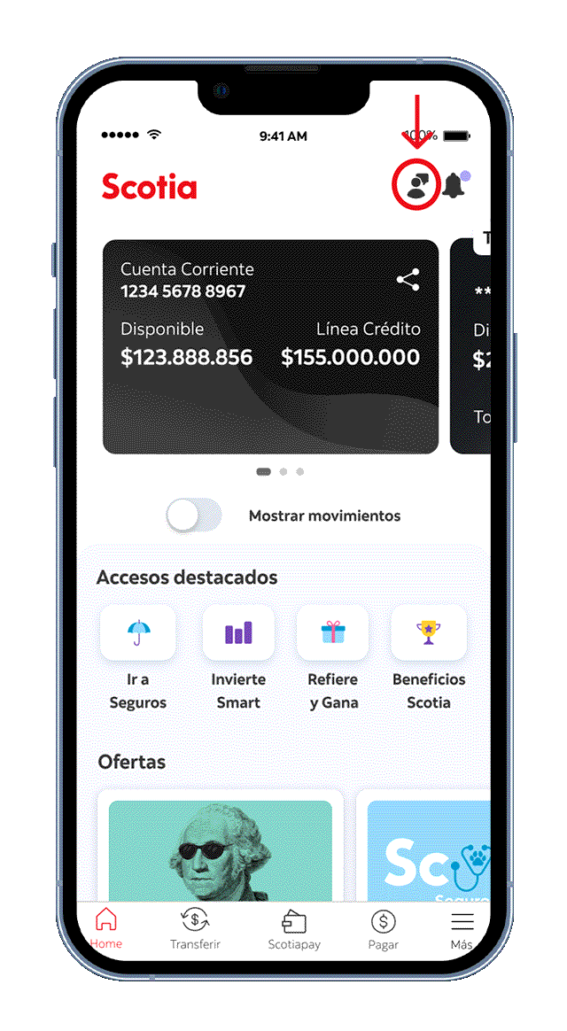 Balance Financiero