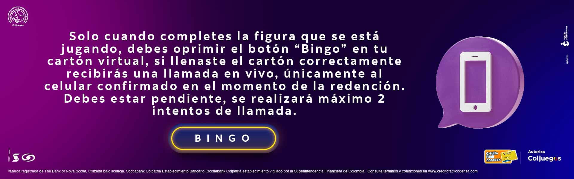 Bingo