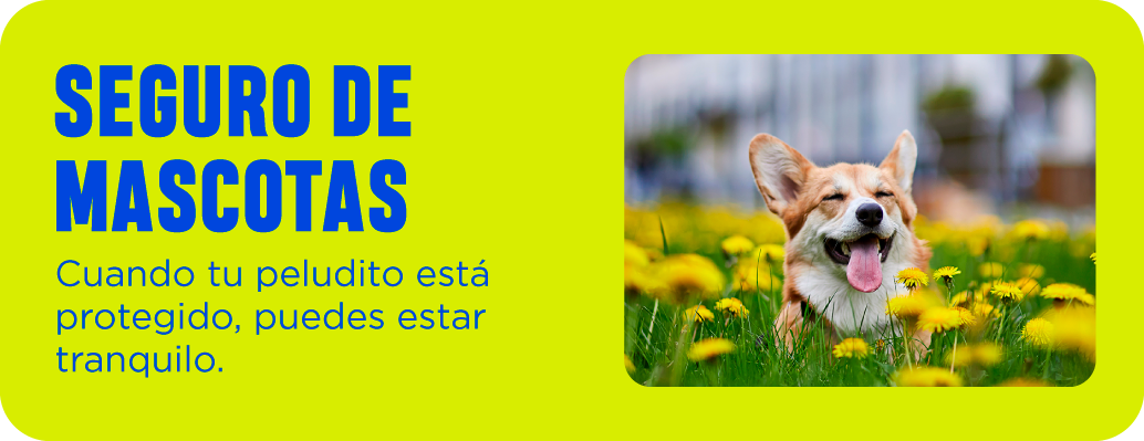Seguro de mascotas