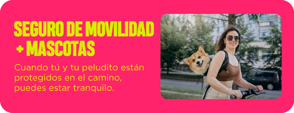 Seguro de movilidad