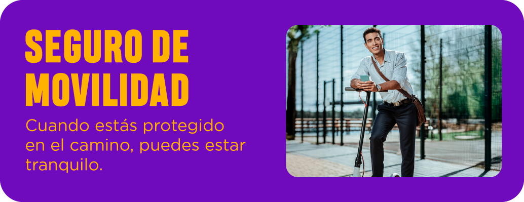 Seguro de movilidad