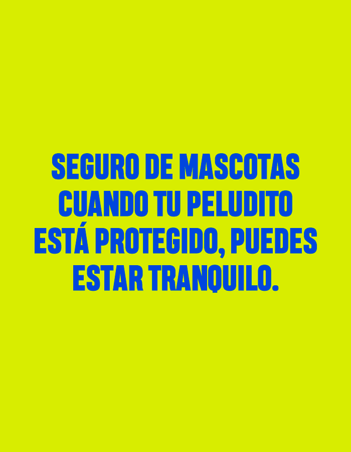Seguro de mascotas