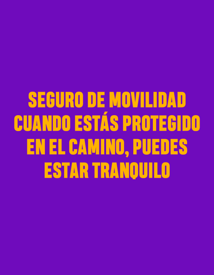 Seguro de movilidad