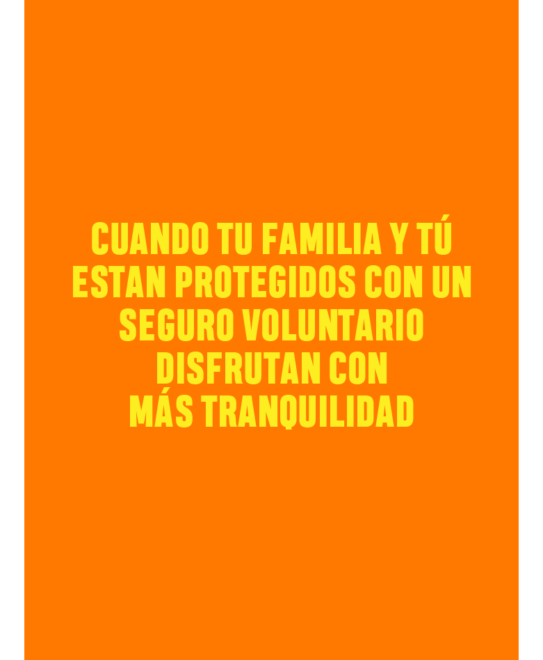 Seguros vida deudor