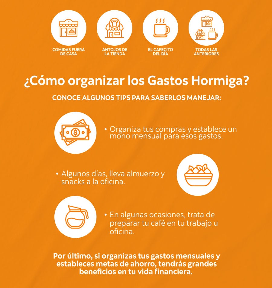 Devolución