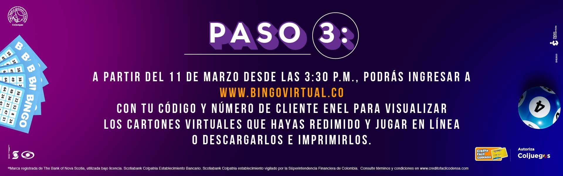 Cartones web Bingo