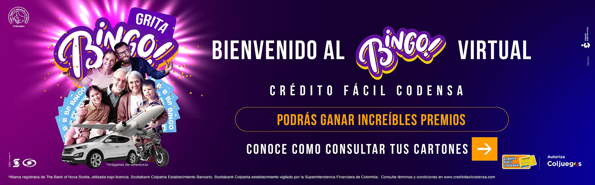 Cartones web Bingo